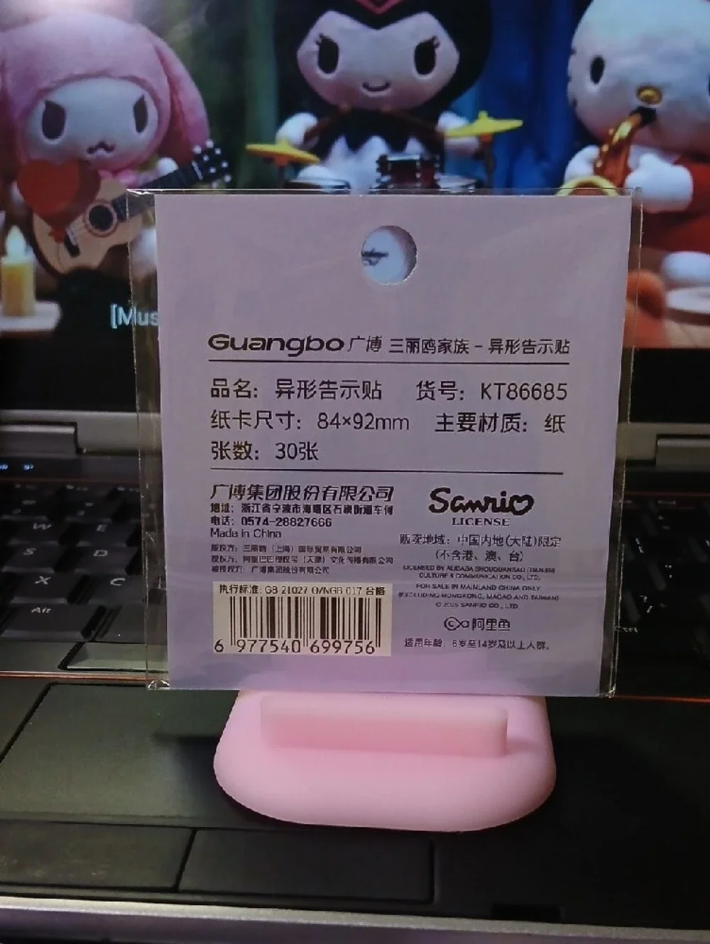 Sanrio Kuromi Pastel Green and Pink Watermelon Sticky Notes